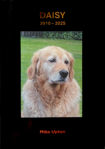 Daisy - 2010-2025